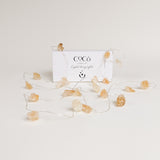 Candle Making Kit + Crystal String Fairy Lights Bundle