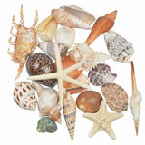 Candle Decorations Sea Shells 500g