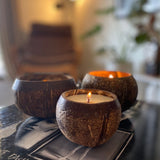 Coconut Shell Candle Mini Bundle Set of 4