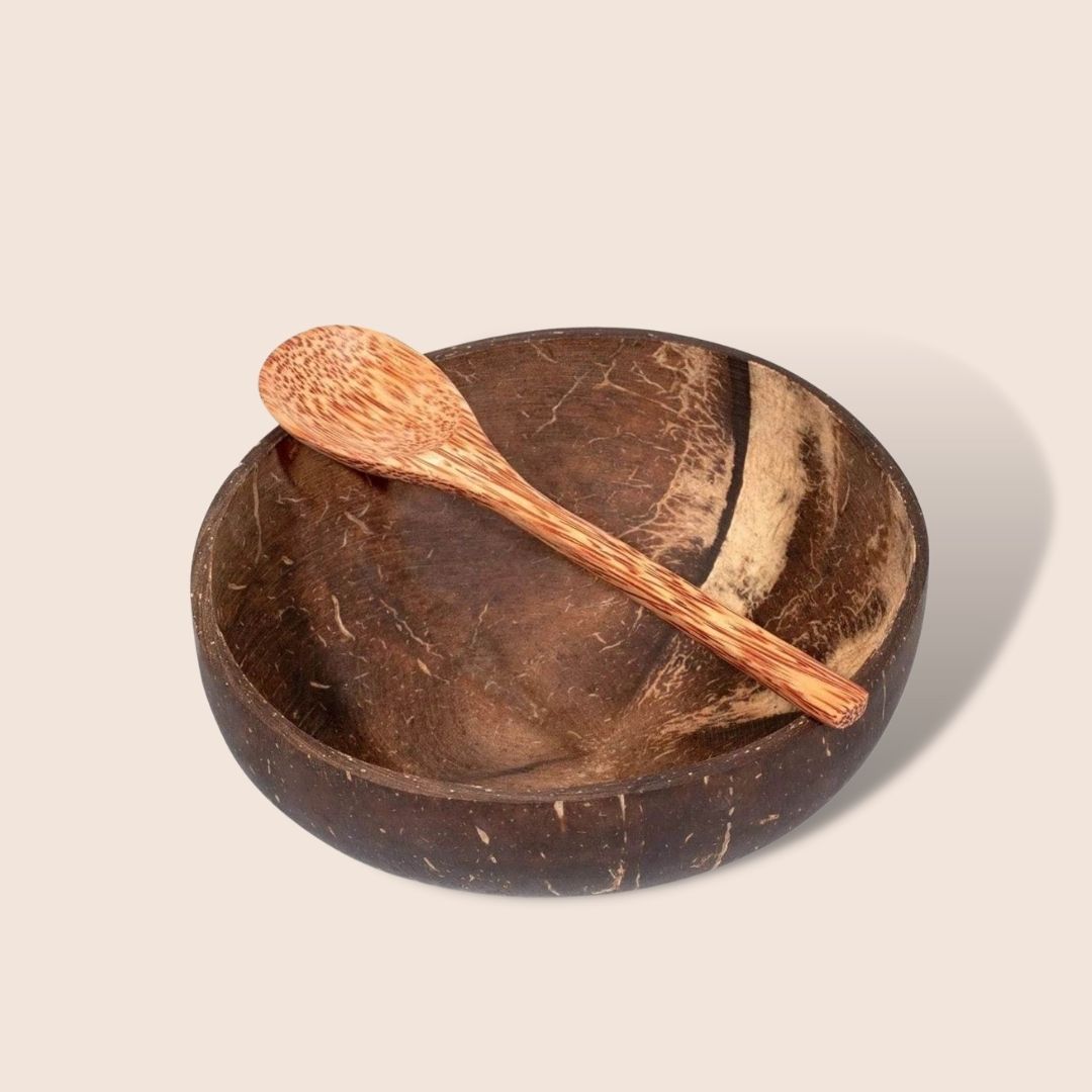 Coconut Shell Bowl + Spoon Combo