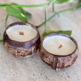 Coconut Shell Candle Mini Bundle Set of 4