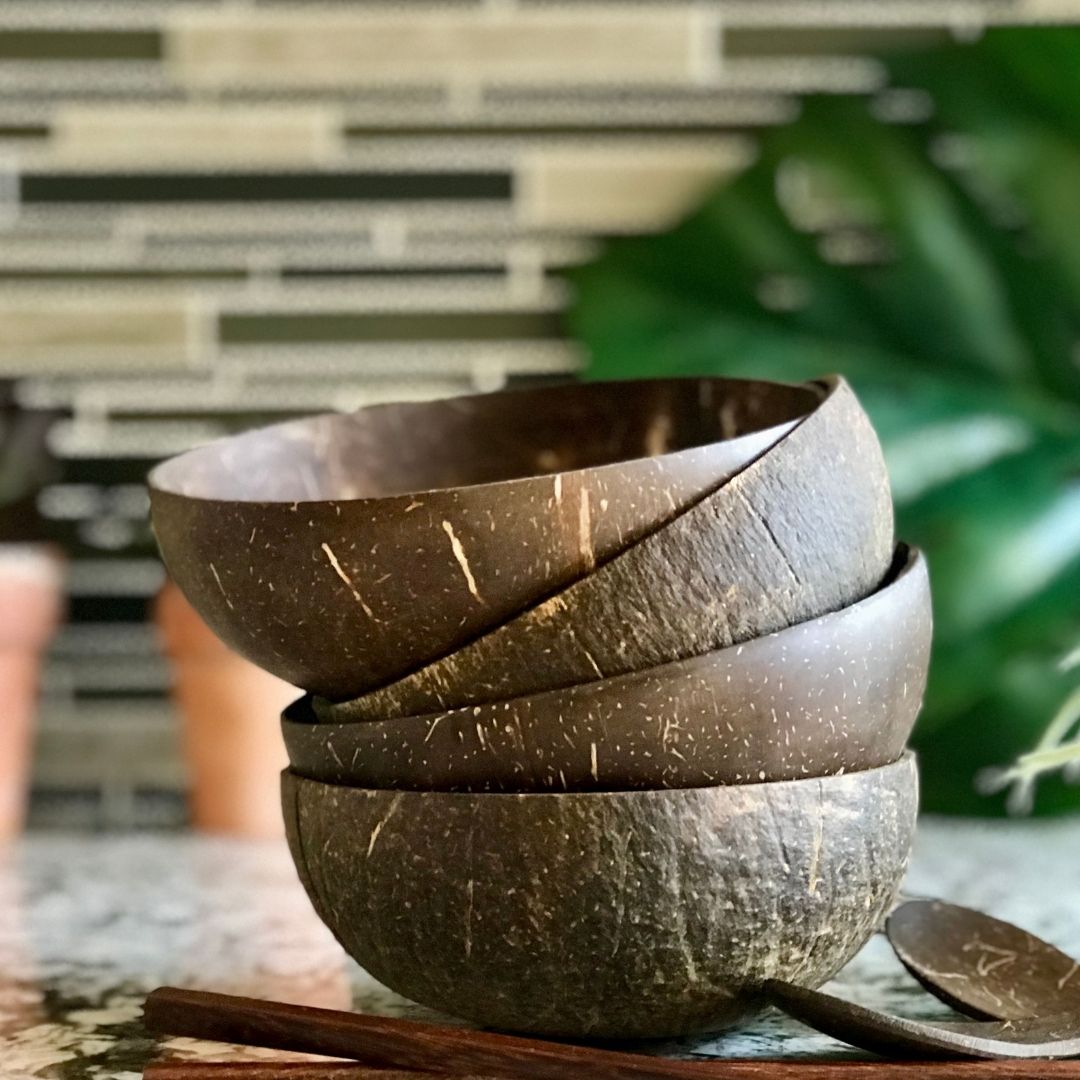 Natural Coconut Bowls Set of Four